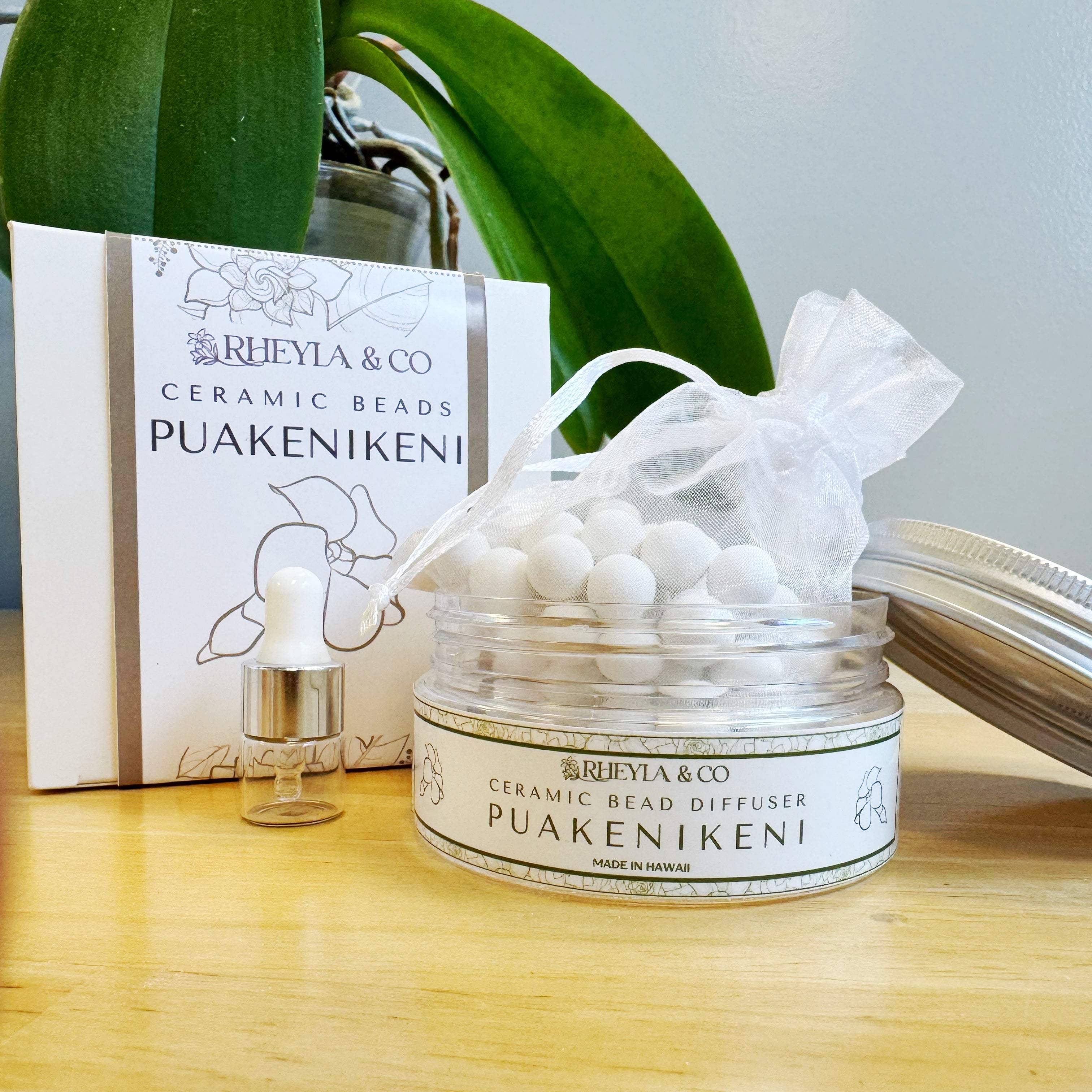 Ceramic Bead Diffusers-Starter Set – Rheyla & Co.